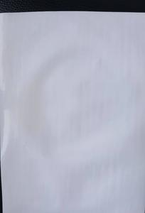 Nylon filter membrane