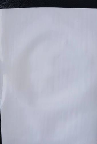 Nylon filter membrane