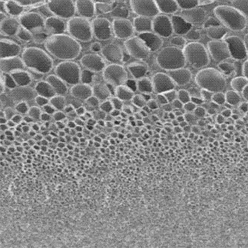 Double-layer gradient microporous membrane.jpg