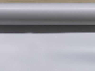 framework membrane 1.jpg