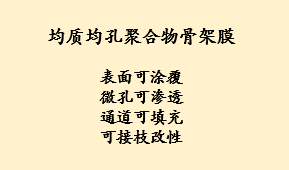 均质聚合物均孔基膜